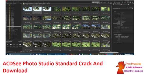 ACDSee Photo Studio Standard 2023 V22.1.1.1166 With Crack 